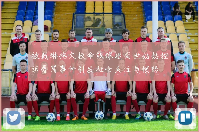 被戴琳拖欠救命钱球迷离世姑姑控诉辱骂事件引发社会关注与愤怒