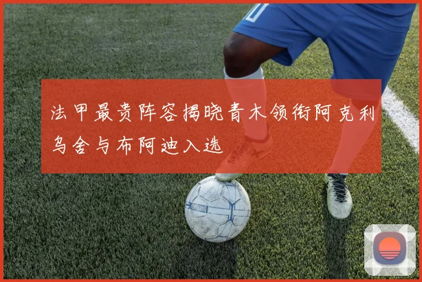 法甲最贵阵容揭晓青木领衔阿克利乌舍与布阿迪入选
