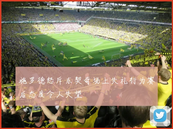 施罗德怒斥东契奇场上失礼行为赛后态度令人失望