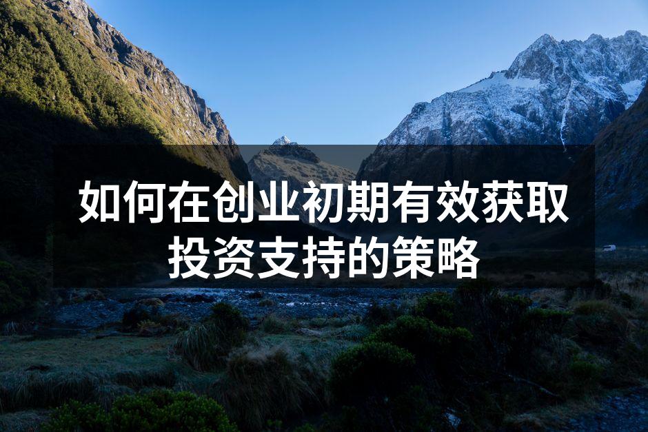 如何在创业初期有效获取投资支持的策略