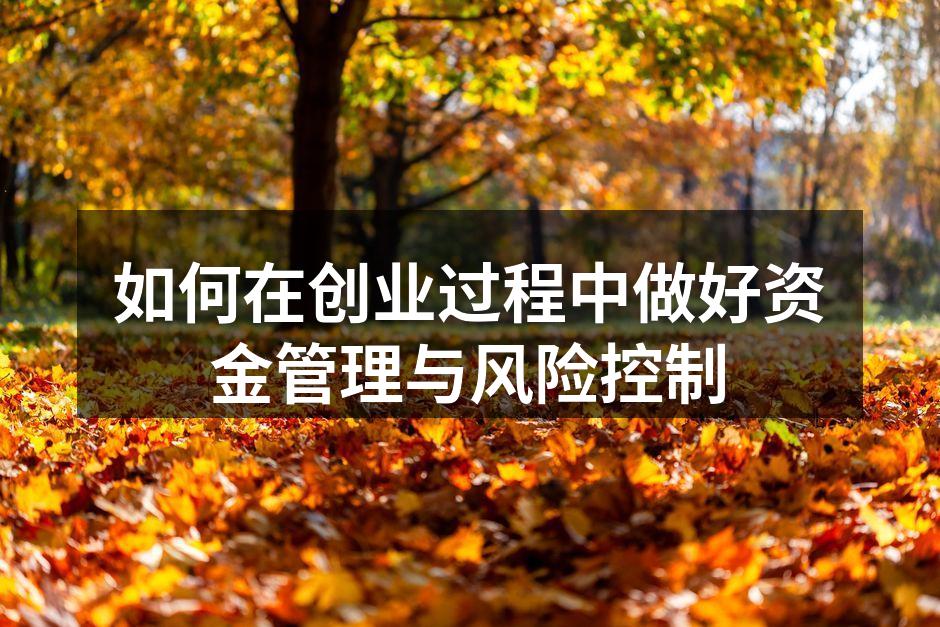 如何在创业过程中做好资金管理与风险控制